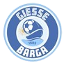 Adesivo GIESSE